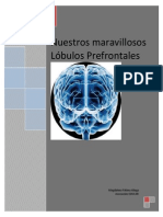 Cerebro Ejecutivo