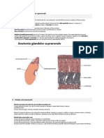 Anatomia Şi Fiziologia Glandelor Suprarenale