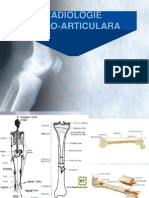 Curs Radiologie Os