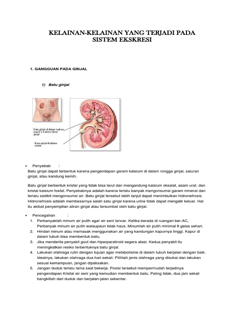 Di Dalam Rongga Ginjal Terdapat Batu Ginjal Yang Dapat Menyebabkan Cara Golden