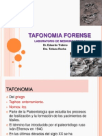 Tafonomia Forense