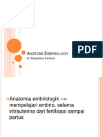 Anatomi Embriology