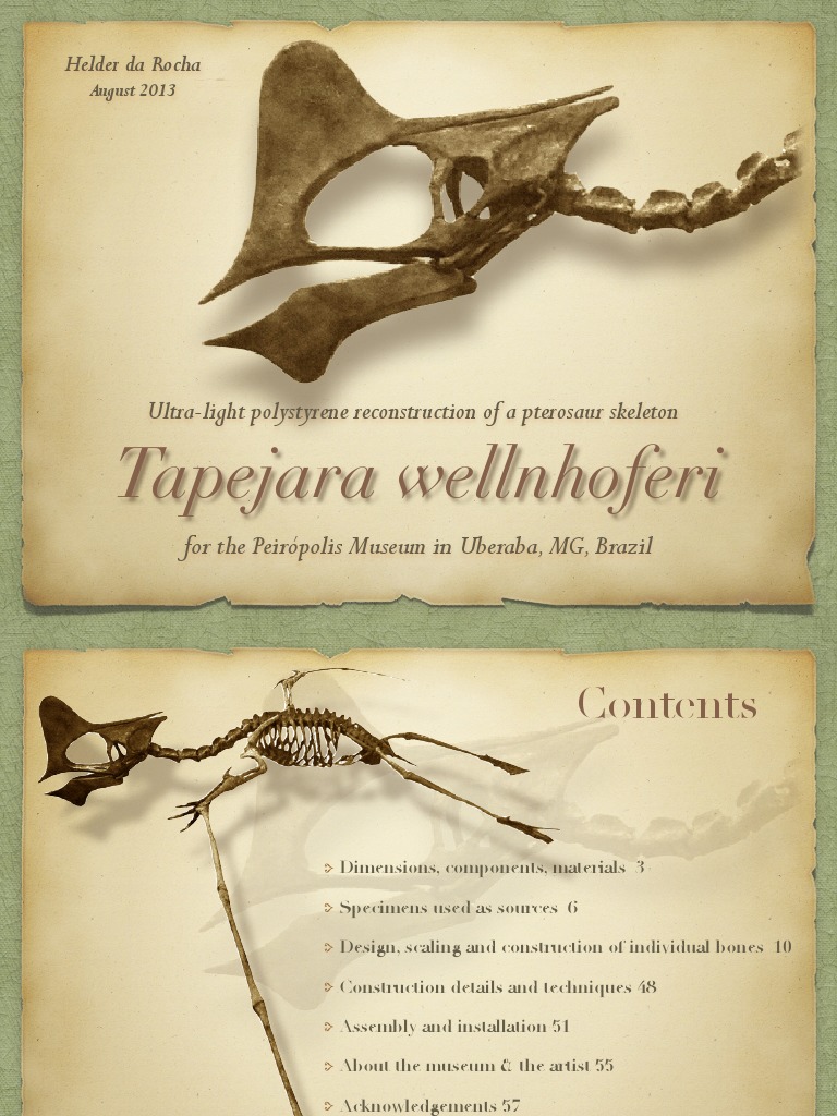 Making of Tapejara wellnhoferi Anatomical Terms Of Location Vertebra