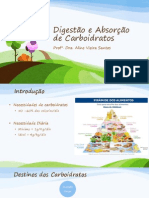 Digestão e Absorção de Carboidratos 2