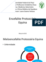 Encefalite Protozoaria Equina