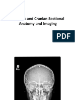 Radiologie Anul 1 Sem 1