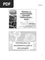 Fitoterapia Na Imunomodulação