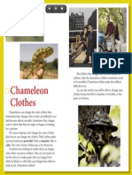 Chameleon Clothes: Writing Reading