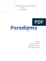 Paradigm A