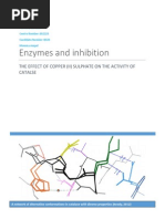 Download IB Biology IA Enzymes and Inhibition  by Momina Amjad SN236087092 doc pdf