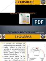 Control de Coccidiosis