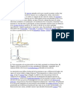 Estructura Celular Bioelectricidad