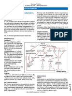 144271252 Sindrome de Aspiracion Meconial