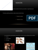 Audicion y Proceso de Audicion