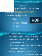 The Transport System in Human Is Called Circulatory System: - Heart, - Blood Vessel - Blood