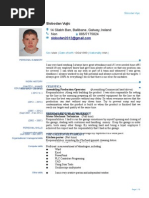 CV Slobodan Europass (2)-2