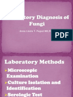 Laboratory Diagnosis of Fungi