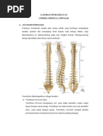 Fisiologi Keputihan Anatomi Medula Spinalis