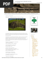 Rock Trip Resende_ CROQUI - Falésia do Bode - Boca do Rego.pdf