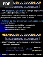 7 Catabolism Glucide - Glicoliza