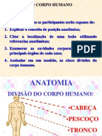 Anatomia Humana