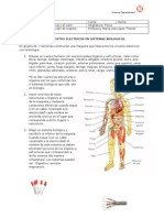 Circuitos en Sistemas Biologicos