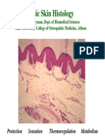 Basic Skin Histology2010