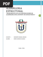 Visita Albañileria Ciudad Nueva