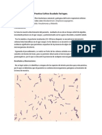 Practica Cultivo Exudado Faríngeo