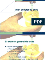 El Examen General de Orina