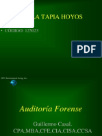 auditoraforense-100701103715-phpapp02