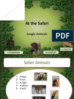 40 RegFiles Safari Animals