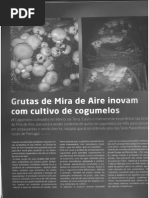 Frutas2014_Produção_Cogumelos