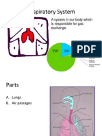 Respiratory System