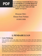 Download Perbandingan Tingkat Kesembuhan Luka Sayat Dengan Pemberian Lendir by Elman D Firdaus SN236187270 doc pdf