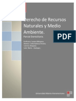 2do Parcial Domiciliario - Derecho Minero