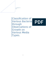 Classification of Various Bacteria Through Observations of Growth On Various Media Types