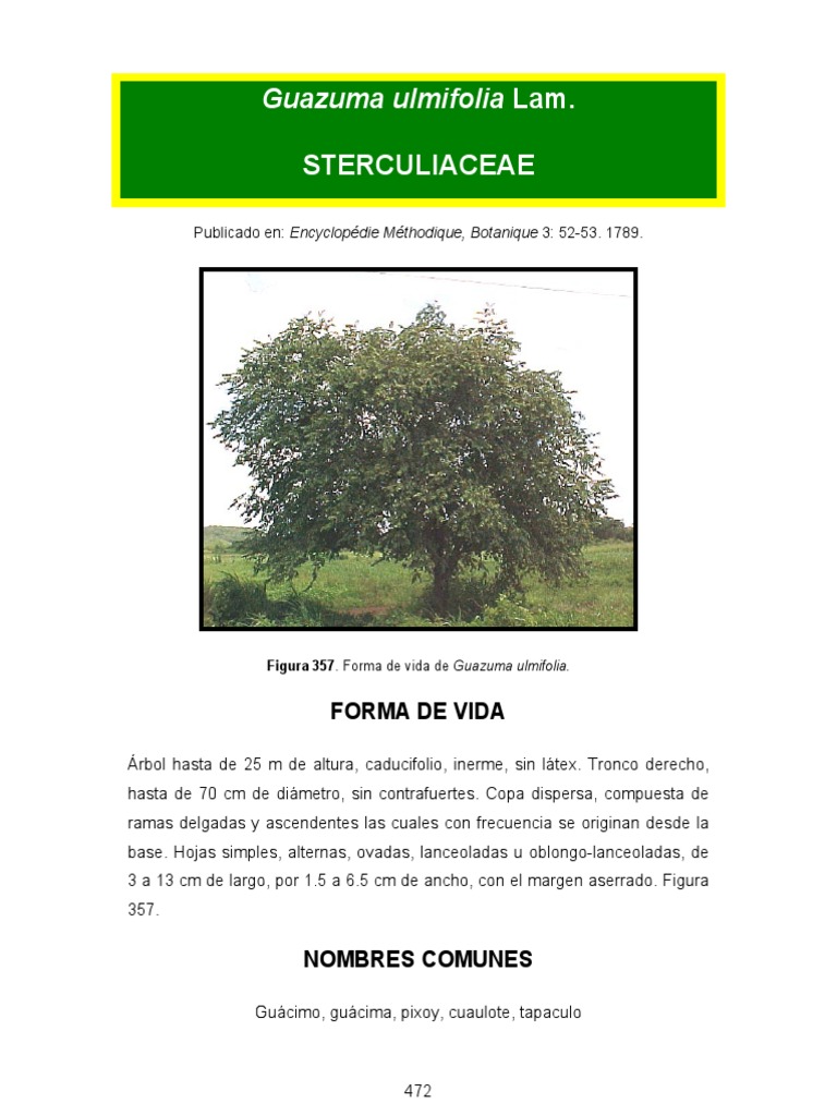 Guazuma Ulmifolia | PDF | Ecología | Conservación