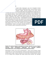 Journal Radio Hernia