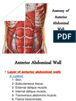 Anterior Abdominal Wall