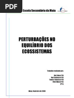 8A_Rui Silva, Rui Pacheco, Tomás Teixeira e Vítor Maia