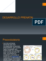 Desarrollo Prenatal