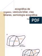 Anatomía Ecográfica de Híg-Vesi-Vias