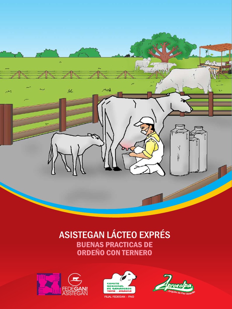Buenas Prácticas de Ordeño Eficiente | PDF | Vacas | Leche