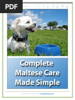 Download Complete Maltese Care Made Simple - SAMPLE by maltesemaniac SN236235678 doc pdf