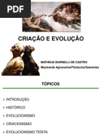 Criação e Evolução A6DDDd01