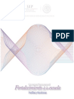 Perfiles y Funciones - Agosto3 - B PDF