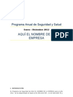 Ejemplo Programa Anual de Seguridad y Salud