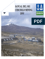 Manual Del Sistema DNV