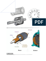 Rotor Jaula de Ardilla